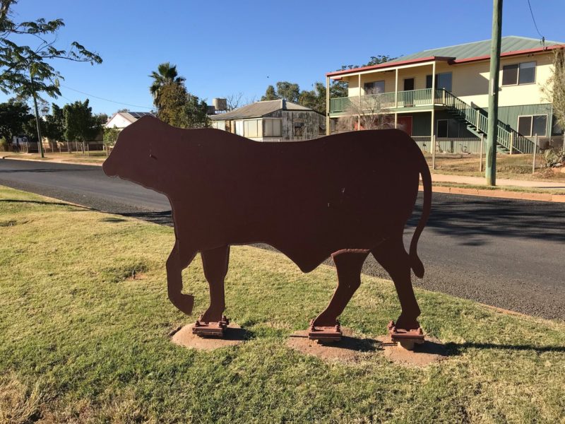 Quilpie Common Muster 5 & 6 June
