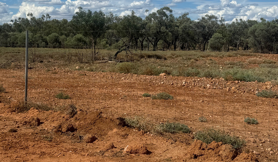 Qsc Efrg Webnewsimage 460x269px Fencebackup